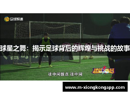 球星之舞：揭示足球背后的辉煌与挑战的故事